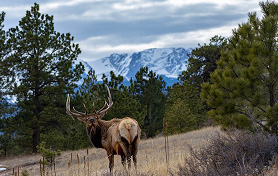 Conservation and recreation vision