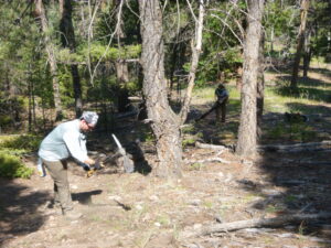 Decommissioning an unauthorized trail