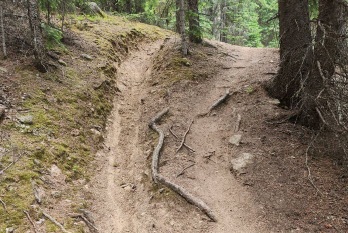 unauthorized trail