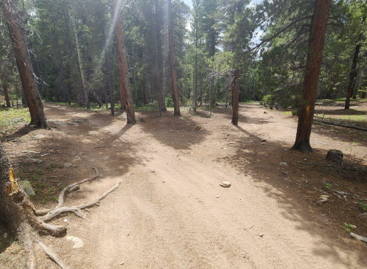 Unauthorized trail showing damage to natural resources