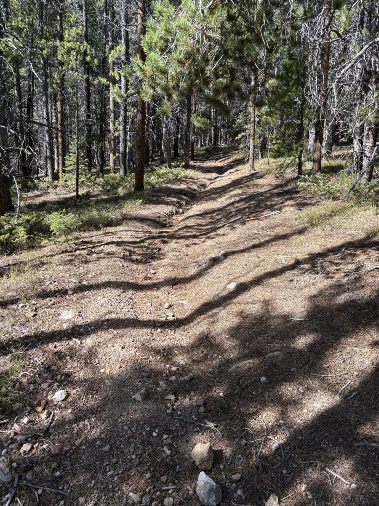 Unauthorized trail showing erosion