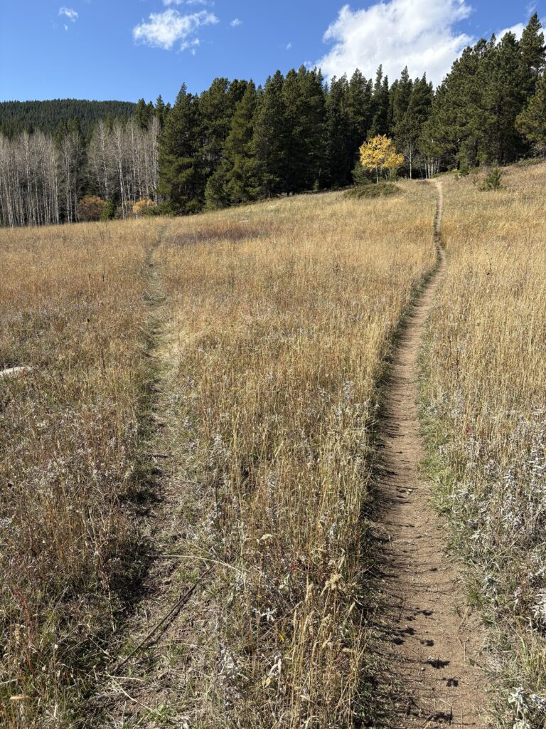 Unauthorized trail