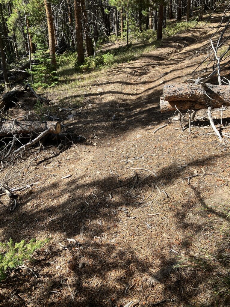 Unauthorized trail
