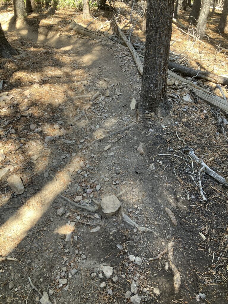 Unauthorized trail showing erosion