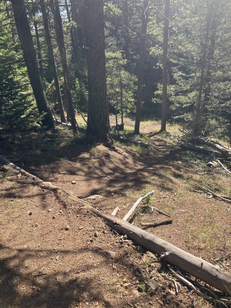 Unauthorized trail showing erosion